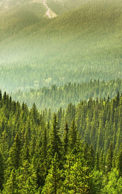 canada alberta minnewanka banff national park istk