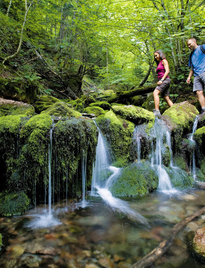 canada new brunswick hikers fundy national park nbt 1