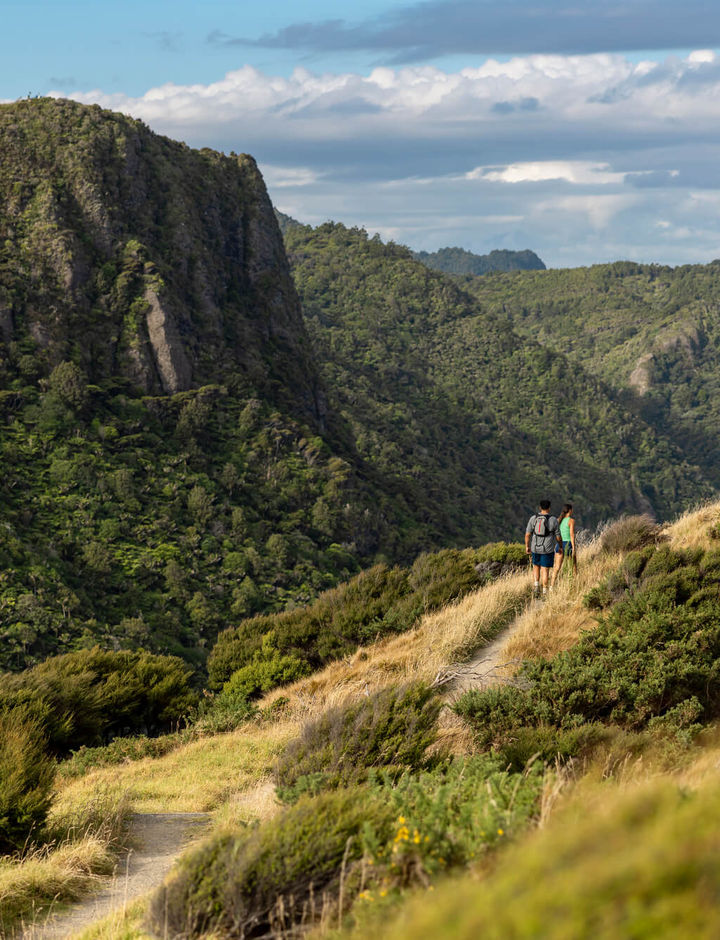 new-zealand-hiking-waitakere-ranges-auckland-tnz